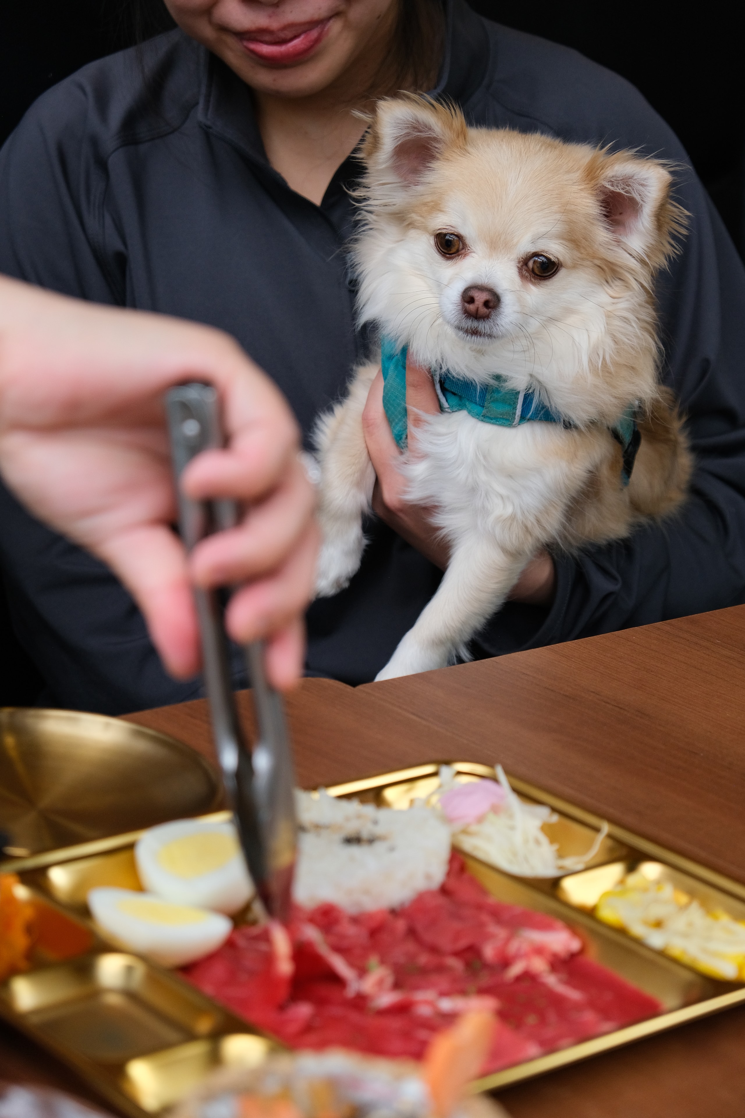 Pet-friendly patio at Sarang Kitchen — dogs welcome